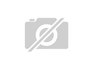 Tierportrait vo Ihrem Foto